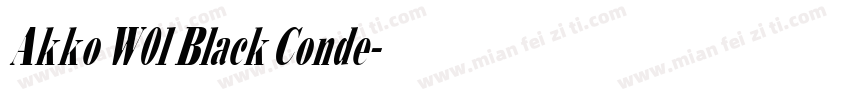 Akko W01 Black Conde字体转换